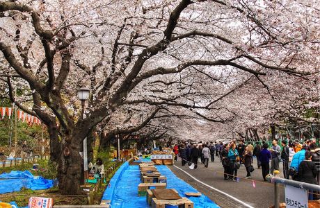 Hiokayama Park