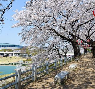 Maebashi Park