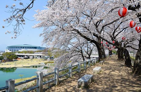 Maebashi Park