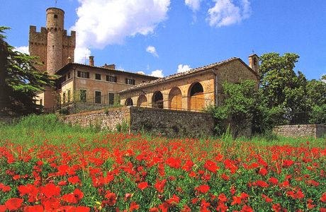 Eremo di Lecceto