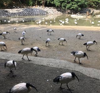 Neo Park Okinawa