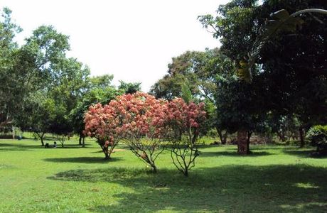 Biju Patnaik Park