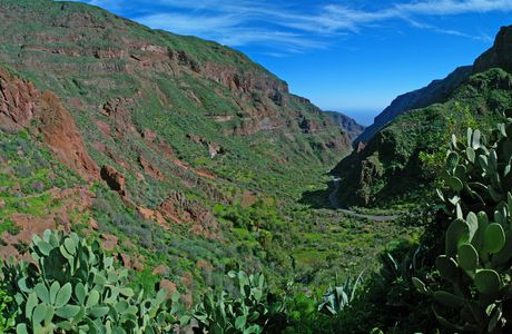 Barranco de Guayadeque