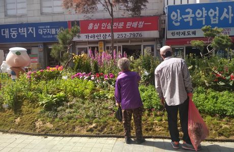 Daegu Yangnyeongsi Herb Medicine Culture Festival