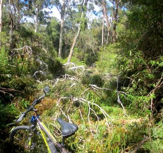 Gippsland Lakes Discovery Trail