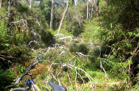 Gippsland Lakes Discovery Trail
