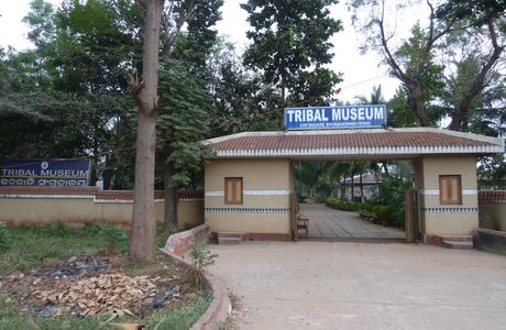 Museum of Tribal Arts & Artifacts