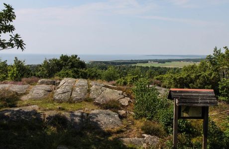 Lundens naturreservat