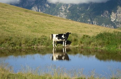 Parco Naturale Regionale della Lessinia