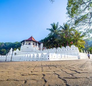 Sri Lanka Transfers
