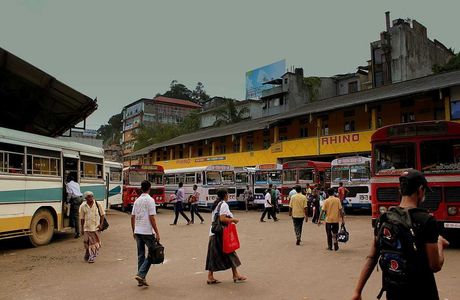 Srilankan Travlio Driver