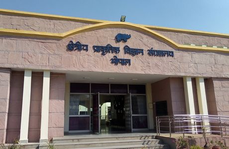 State Museum of Madhya Pradesh