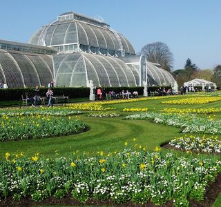 World Flower Botanical Garden