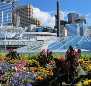 Metro Toronto Convention Centre