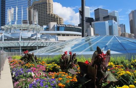Metro Toronto Convention Centre