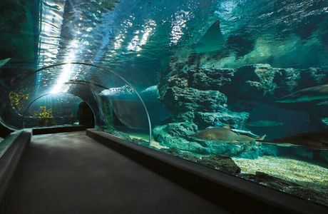 Hanhai Polar Ocean World