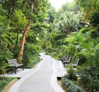 Hong Kong Zoological and Botanical Gardens