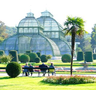 Dayangshan Botanical Garden