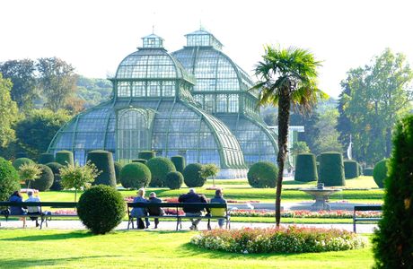 Dayangshan Botanical Garden