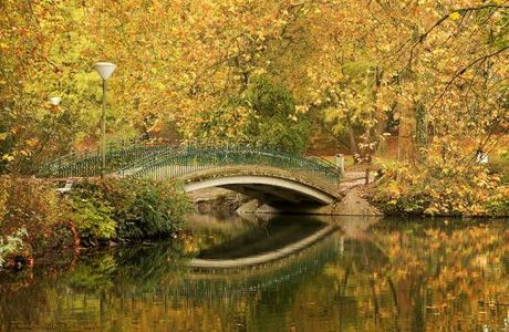 Botanischer Garten Rombergpark