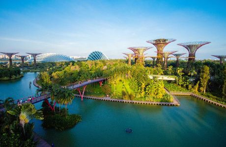 Gardens by the Bay