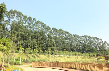 Niu Bo Bo Butterfly Ecological Park