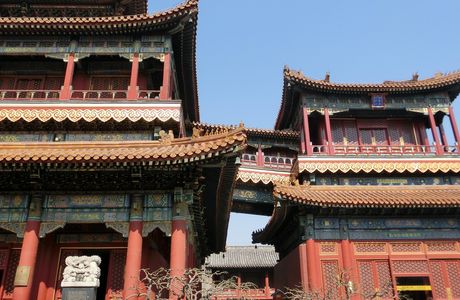 Chinese Buddhist Temple