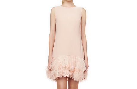 Feathers and Frocks