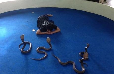 Ao Nang Snake Show