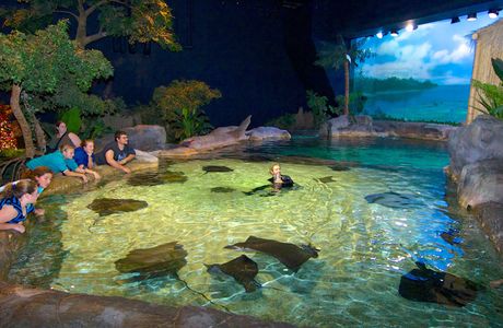 Ripley's Aquarium of Myrtle Beach