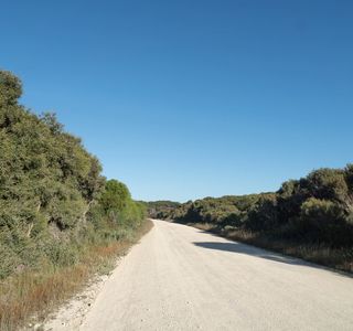 Beachport Conservation Park