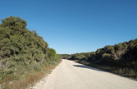 Beachport Conservation Park