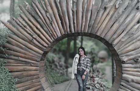 Goa Pinus