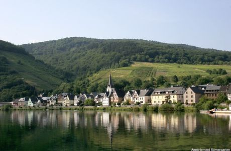 Zirweskeller
