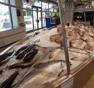 Auckland Fish Market