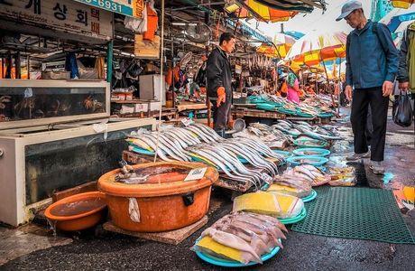 Masan Fish Market