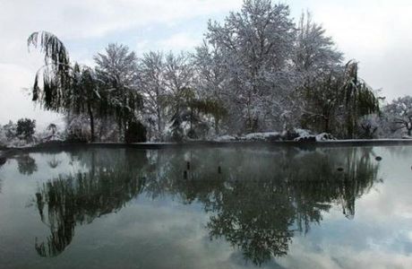 Iran Zamin Park