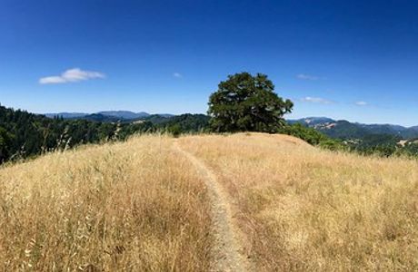 Austin Creek SRA