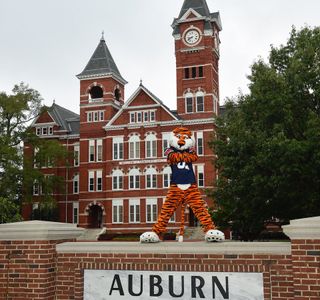 The Auburn Tower