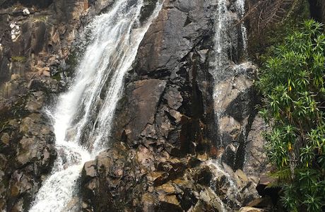 Steavenson Falls