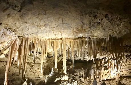 Victoria Fossil Cave