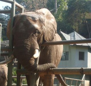 Zoológico Nacional de Chile