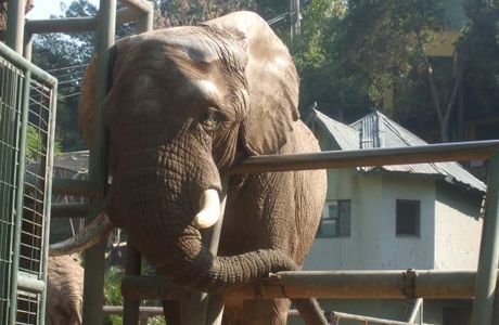 Zoológico Nacional de Chile