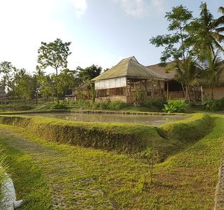 Visesa Balinese Healing & Spa