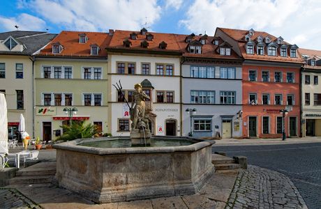Stubenfliege