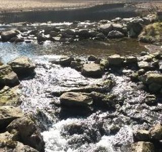 Harrop Tarn