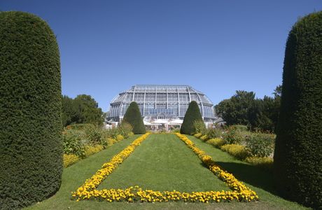 Botanischen Obstgarten