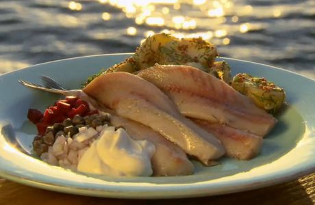 Shane Herring Photography