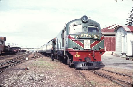 Australind