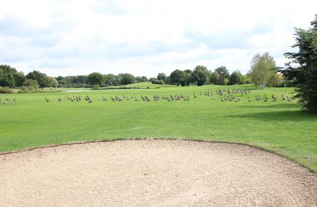 Golf d'Etiolles